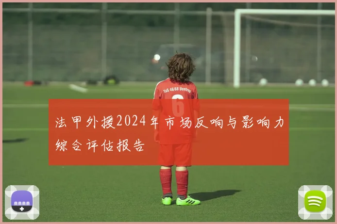 法甲外援2024年市场反响与影响力综合评估报告